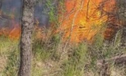 Başakşehir'de alacak tartışması silahlı kavgaya dönüştü: 1 yaralı