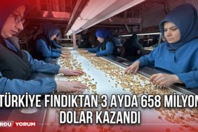 Türkiye Fındıktan 3 Ayda 658 Milyon Dolar Kazandı