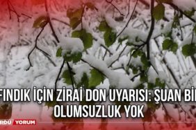 Fındık İçin Zirai Don Uyarısı: Şuan Bir Olumsuzluk Yok