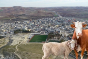 Şanlıurfa’da bayramda akılalmaz kurnazlık!