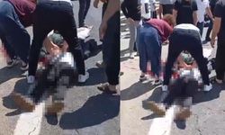 Siirt’te arı kovanlarında çıkan yangın maddi zarara yol açtı