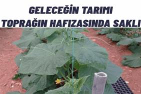 Toprağın hafızasını yeniden Canlandırmak Türkiye’nin Leonardit Gerçeği