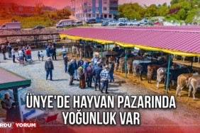 Ünye'de Hayvan Pazarında yoğunluk Var