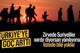 6a3b9f858352a236