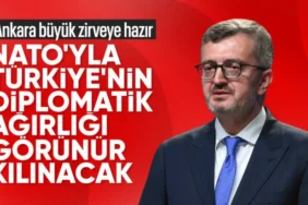 6a3bbd85d1df4379