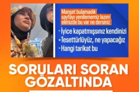 6a3c0138814ad113