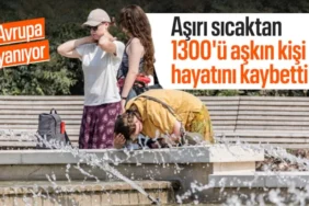 6a417b73b9545897