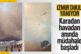 İzmir Dikili'de Korkutan Yangın! Alevler Sahile Kadar Ulaştı
