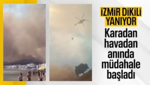 İzmir Dikili'de Korkutan Yangın! Alevler Sahile Kadar Ulaştı