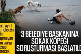 Bakan Çiftçi'den Belediye Başkanlarına Sokak Köpeği Soruşturması!