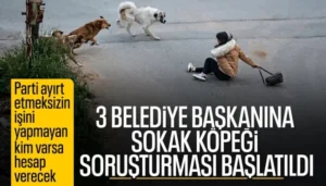 Bakan Çiftçi'den Belediye Başkanlarına Sokak Köpeği Soruşturması!