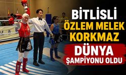 Bitlis ile Muş Arasındaki İl Sınırı Yeniden Belirlendi