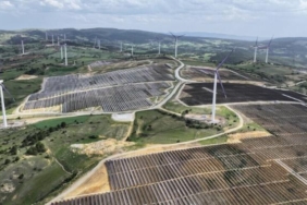 Küresel Yenilenebilir Enerji Kurulu Gücü 5 Teravatı Aştı: 2030 Hedefinin Yarısına Yaklaşıldı