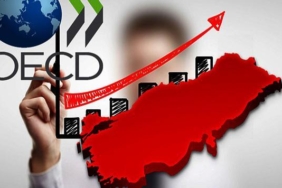 OECD Araştırması: Türkiye'de 1