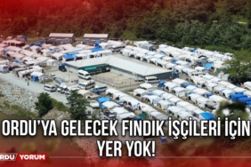 Ordu’ya Gelecek Fındık İşçileri İçin Yer Yok!