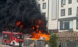 Van'da Jandarmadan Uyuşturucu Operasyonu: 291 Kilo Esrar Ele Geçirildi