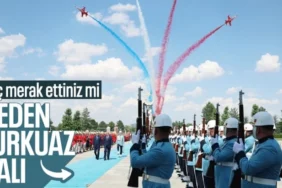NATO Zirvesi'nde Kırmızı Halı Yerine Neden Turkuaz Tercih Edildi?