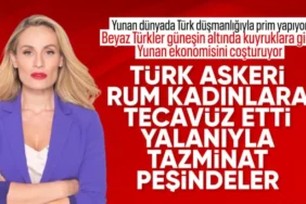 AP'den Kıbrıs Kararı: Türk Askerine Yönelik İddialar 'Yok Hükmünde' Sayıldı