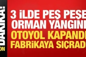 Bursa, Manisa ve İzmir'de Orman Yangını: Otoyol Kapandı, Fabrikaya Sıçradı