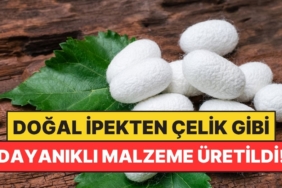 Doğal İpekten Çelik Gibi Dayanıklı Malzeme Üretildi