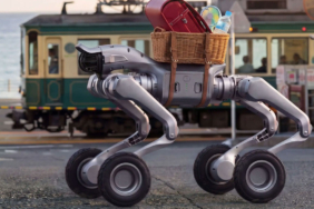 Engel tanımayan yeni nesil robot köpek