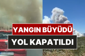 Manisa'da Orman Yangını: Alevler İzmir-İstanbul Otoyolu'na Ulaştı