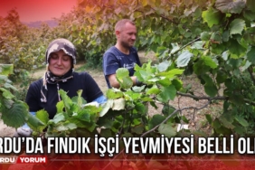 Ordu’da Fındık İçi Yevmiyesi Belli Oldu