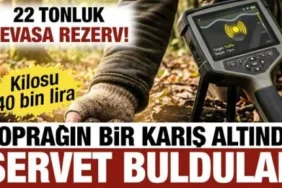 Erzurum ve Erzincan'da Yer Altından "Kara Elmas" Çıktı: 22 Ton Trüf Mantarı