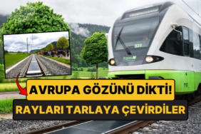Tren Raylarını Güneş Tarlasına Çevirdiler: 11 Bin Tren Geçti, Biri Bile Kırılmadı