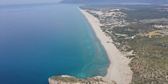 Akdeniz alarm veriyor! Ekosistem tümüyle değişiyor