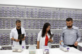 Akrep zehri Elazığ’dan ilaç sektörüne uzanıyor