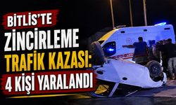 Bitlis, Güroymak, Ahlat ve Adilcevaz'da elektrik kesintileri