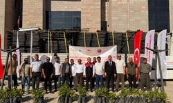 Camiye gitmek için evden çıktı, kazada hayatını kaybetti