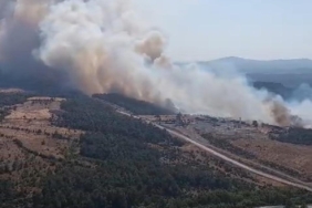 Çanakkale'de orman yangını! Ekipler seferber oldu