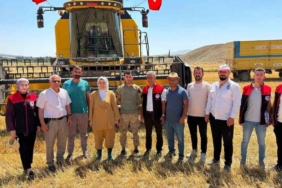 Kaymakam Kılıç tarlada üreticilerin bereketine ortak oldu