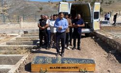 Şırnak yaylalarında hayvan sağlığı seferberliği