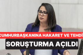 TİP Sözcüsü Sera Kadıgil Hakkında "Cumhurbaşkanına Hakaret" ve "Tehdit" Soruşturması