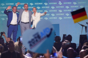 AfD'nin ilk ırkçı talebi geldi: 1 milyon kişiyi sınır dışı edin!