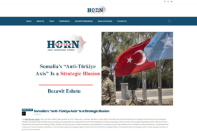 Afrika Boynuzu'nda belirleyici güç Türkiye, köklü yayın organı vurguladı