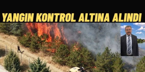 Ankara Gölbaşı'nda Ormanda Çıkan Yangın Kontrol Altına Alındı