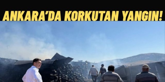 Ankara’da Korkutan Yangında Çiftlik Kullanılamaz Hale Geldi