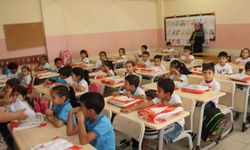Arıcılık desteklerine yüzde 80 zam: Kovan başına destek 475 TL’ye kadar çıktı