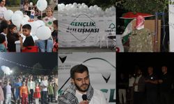 Bingöl'de trafik kazası: Otomobilden 4 kişi yaralı çıkarıldı