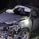 Cami bahçesine giren yılan itfaiye ekiplerince yakalandı