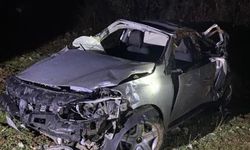 Cami bahçesine giren yılan itfaiye ekiplerince yakalandı