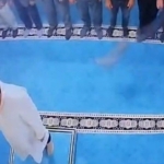 Camide kediyi tekmeleyen şahıs serbest bırakıldı