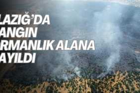 Elazığ’da yangın ormanlık alana yayıldı