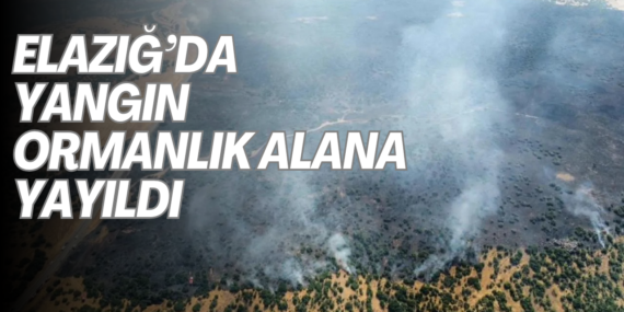 Elazığ’da yangın ormanlık alana yayıldı