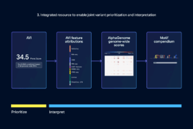 Google DeepMind, 9 milyar olası DNA değişikliğini haritalayan AlphaGenome Atlas'ı tanıttı