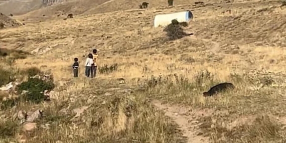 Kayıp küçük çocuk ile ilgili vahim iddia! Köyde geniş güvenlik önlemi: "Anne ve babası çok rahattı"
